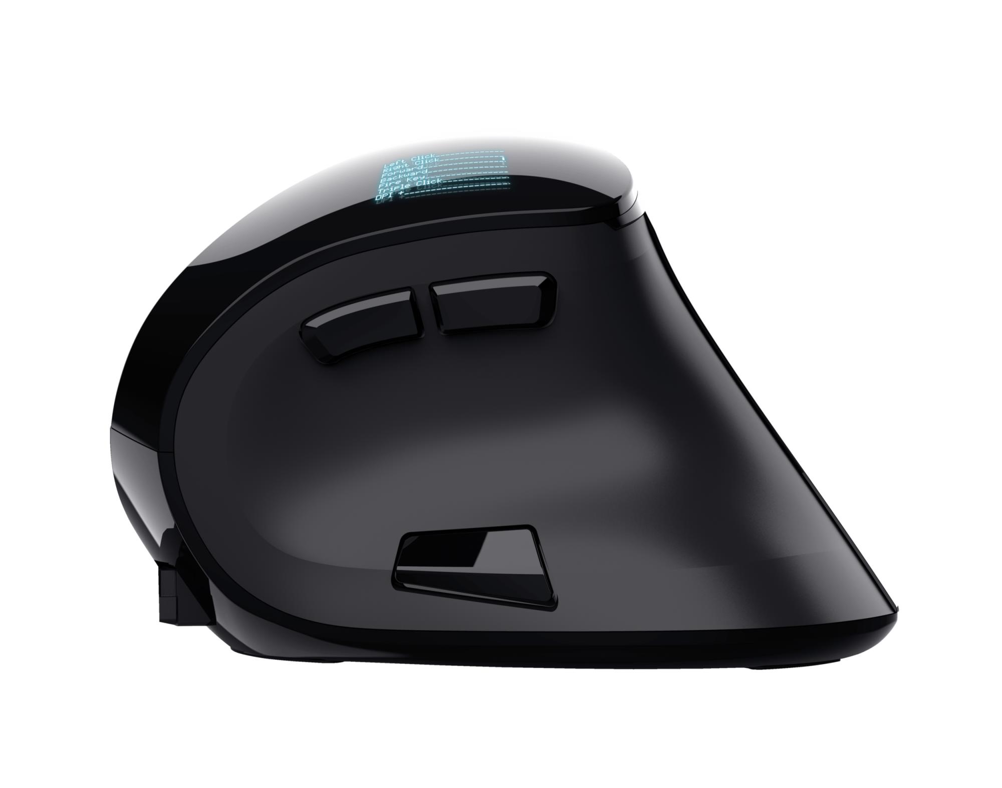 MOUSE USB OPTICAL ERGONOMIC/VOXX 23731 TRUST - Image 5