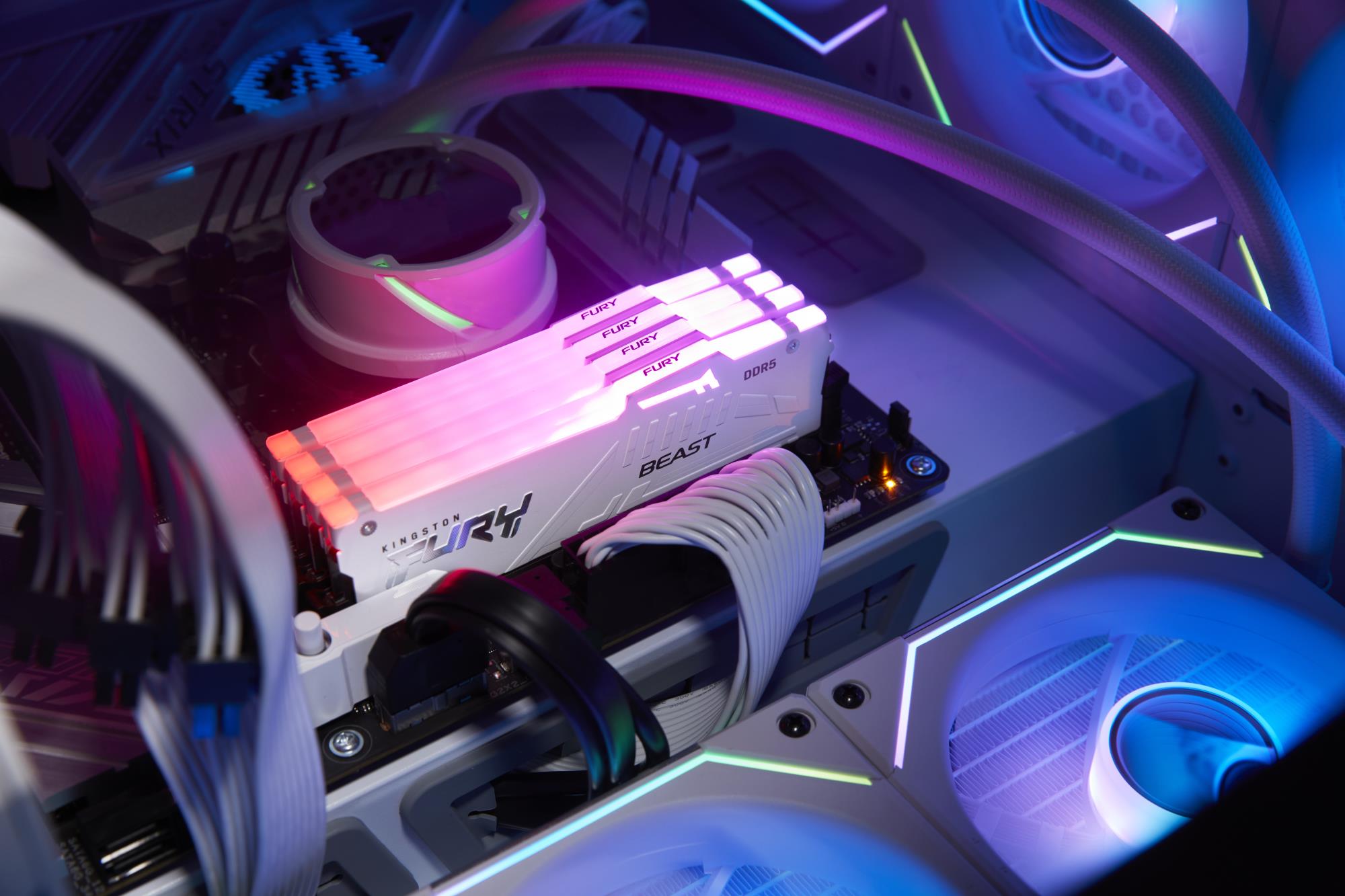 MEMORY DIMM 32GB DDR5-6000/KF560C36BWE2AK2-32 KINGSTON - Image 8